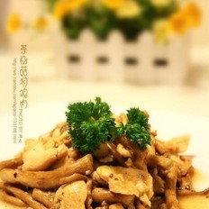 茶树菇焖鸡肉