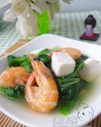 青菜豆腐虾汤的做法