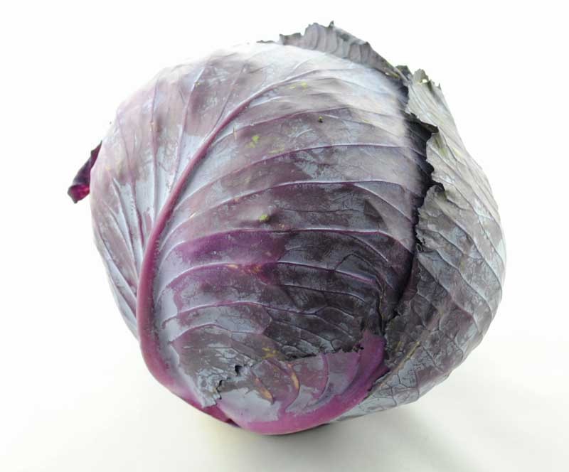 紫甘蓝 的功效与作用 紫甘蓝 的营养价值 食材百科 美食杰
