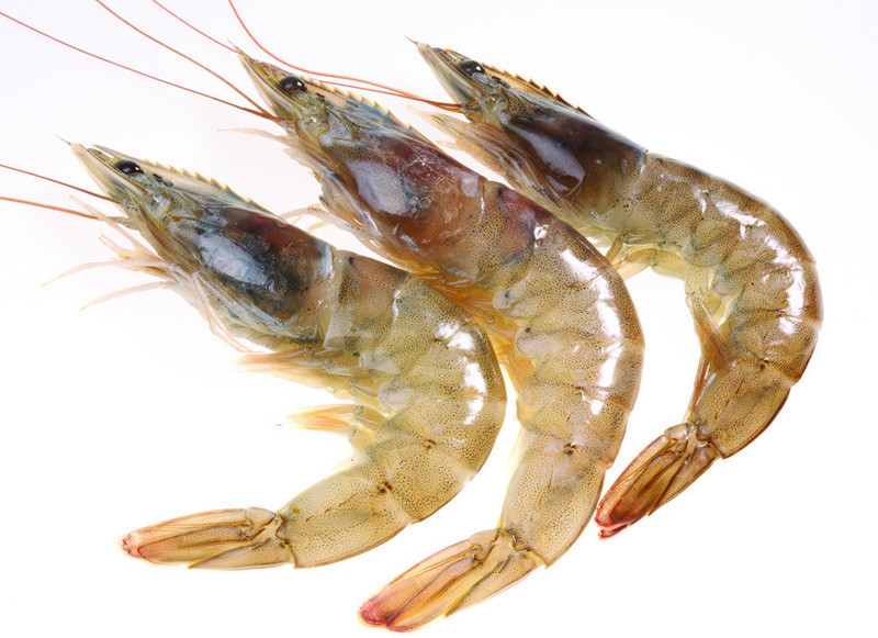 海虾 的功效与作用 海虾 的营养价值 食材百科 美食杰