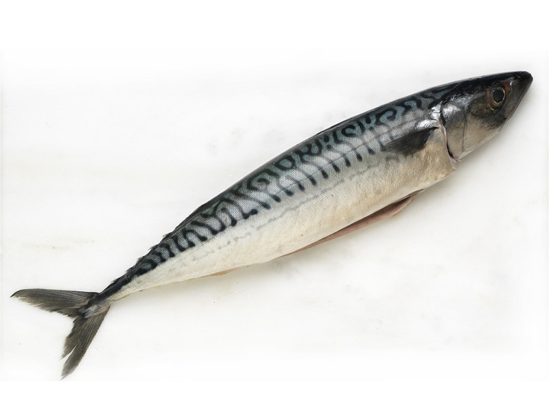 秋刀鱼 的功效与作用 秋刀鱼 的营养价值 食材百科 美食杰
