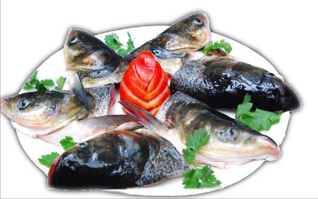 鲢鱼头 的功效与作用 鲢鱼头 的营养价值 食材百科 美食杰