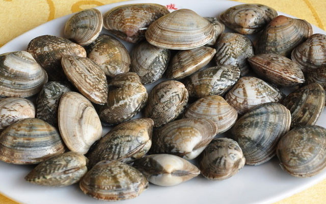 蛤蜊 的功效与作用 蛤蜊 的营养价值 食材百科 美食杰