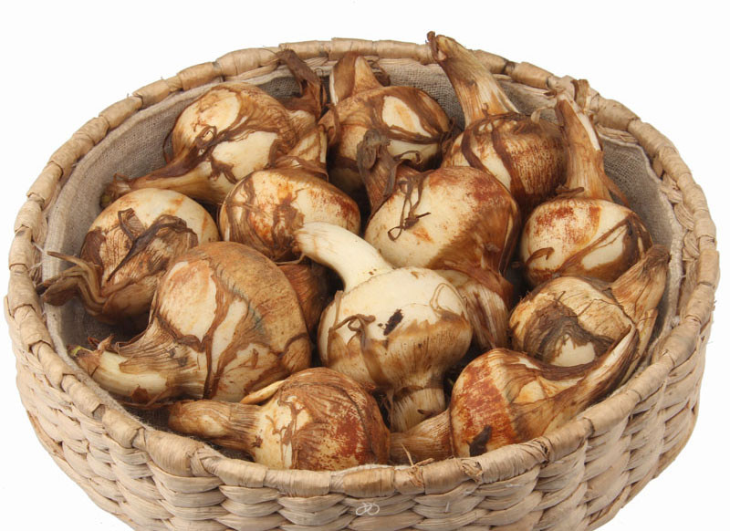 慈菇 的功效与作用 慈菇 的营养价值 食材百科 美食杰