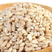 大麦仁 的功效与作用 大麦仁 的营养价值 食材百科 美食杰